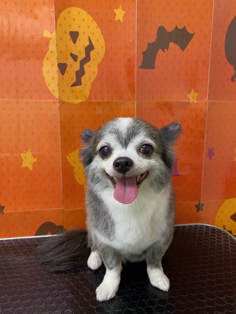 りんご