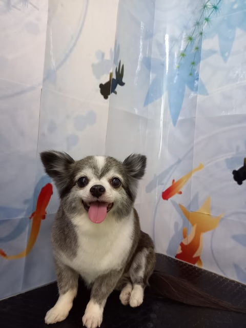 りんご