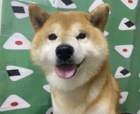 ryu