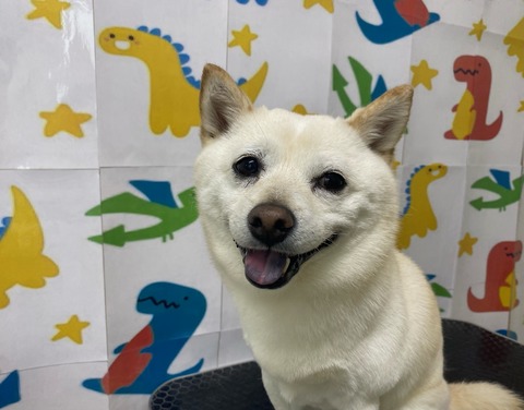 そら