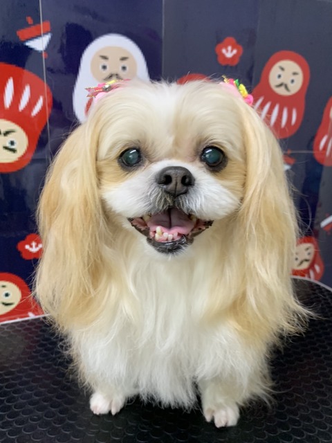 maruko