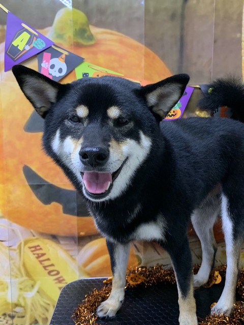 riku