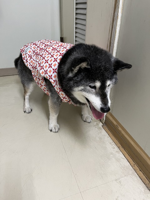 hana