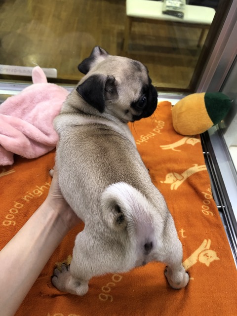 CF295B89-1E1E-454C-8AC2-936A6DA2DCA6