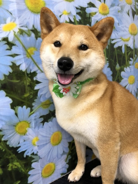 jkk