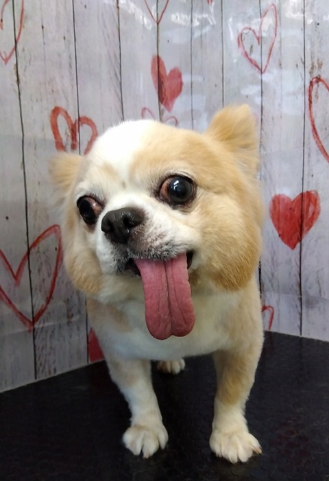 IMG_2026-02-15-15-11-22-748~3_20260216093838