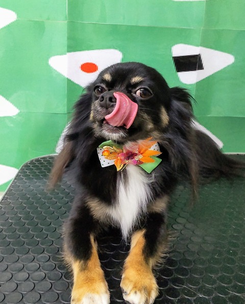 maro