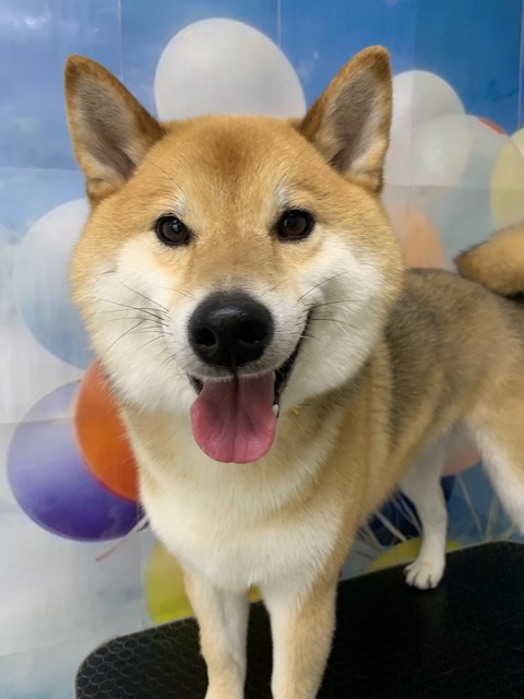 ken