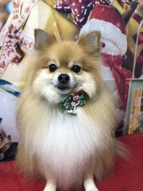 ru