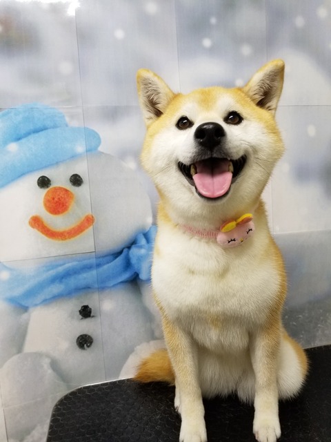 maro