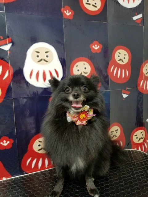 rai