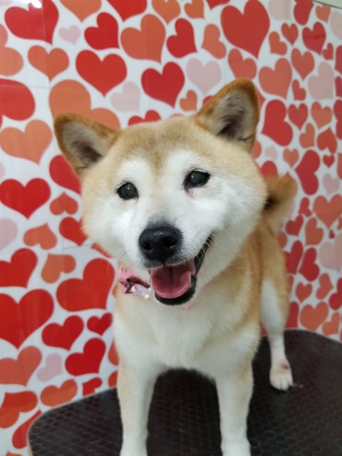 nago