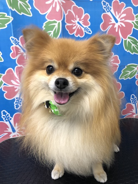 RURU