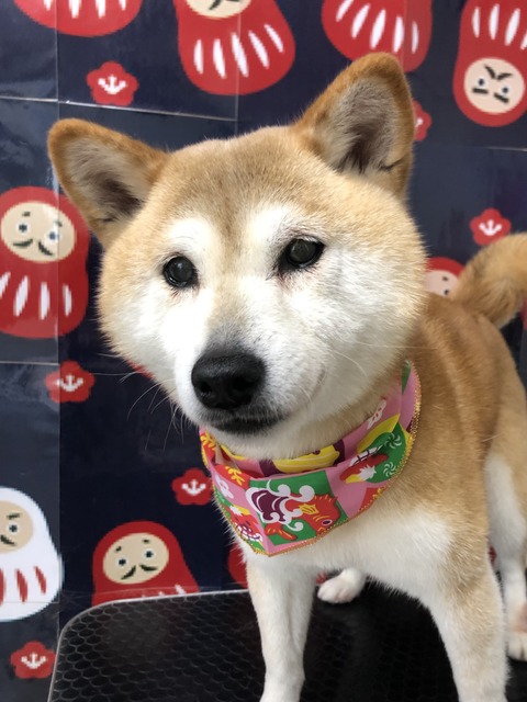 nago
