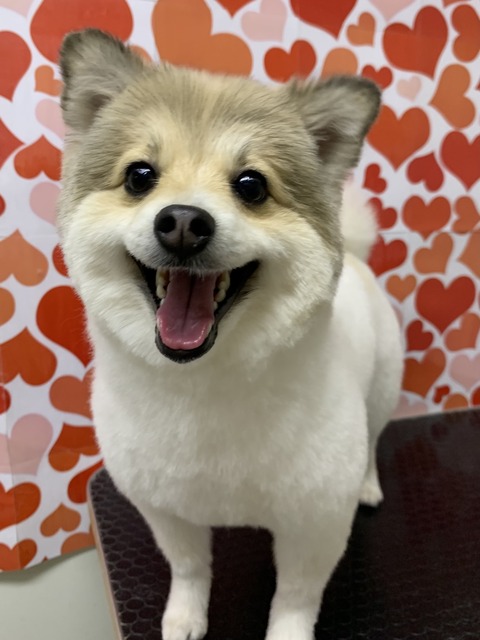 AOB