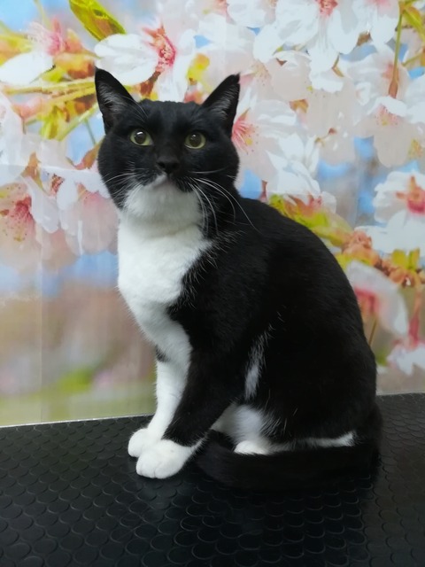 maru