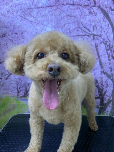 れお