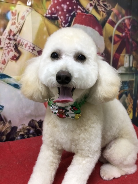 reo