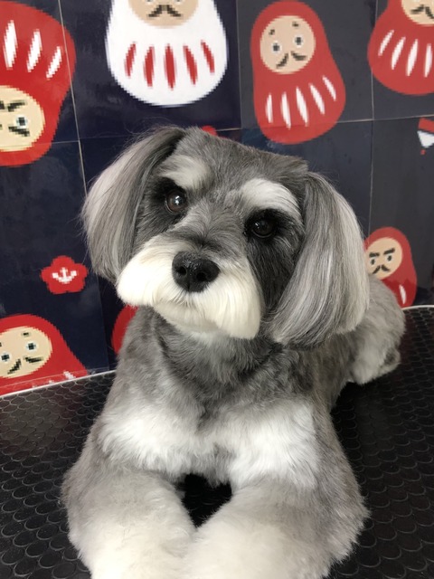 saku