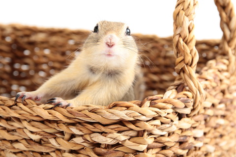 IMG_7260