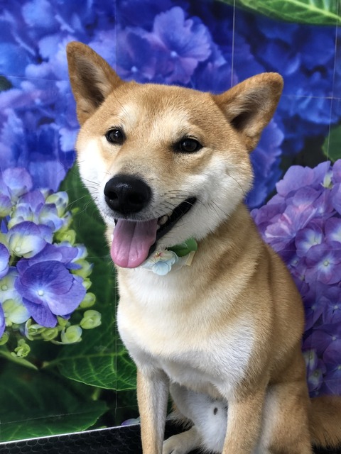 ken