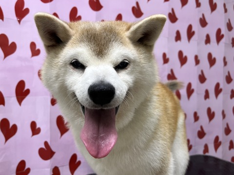 ken