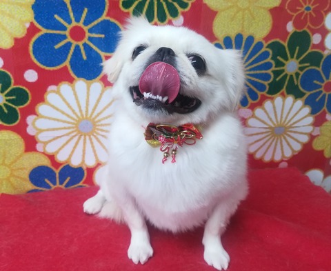 たま