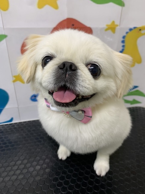 たま