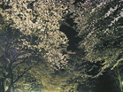 17788f07.jpg