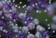 36a62b05.jpg