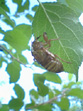 4a006ca3.jpg