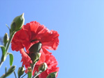 51b78f45.jpg