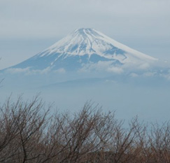 672530dc.jpg