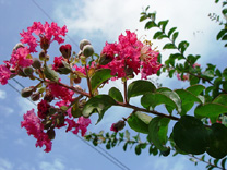 8c981d16.jpg