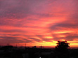 a04699e9.jpg