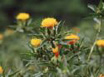 af256689.jpg