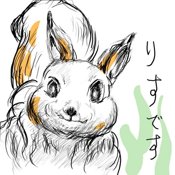 りすです