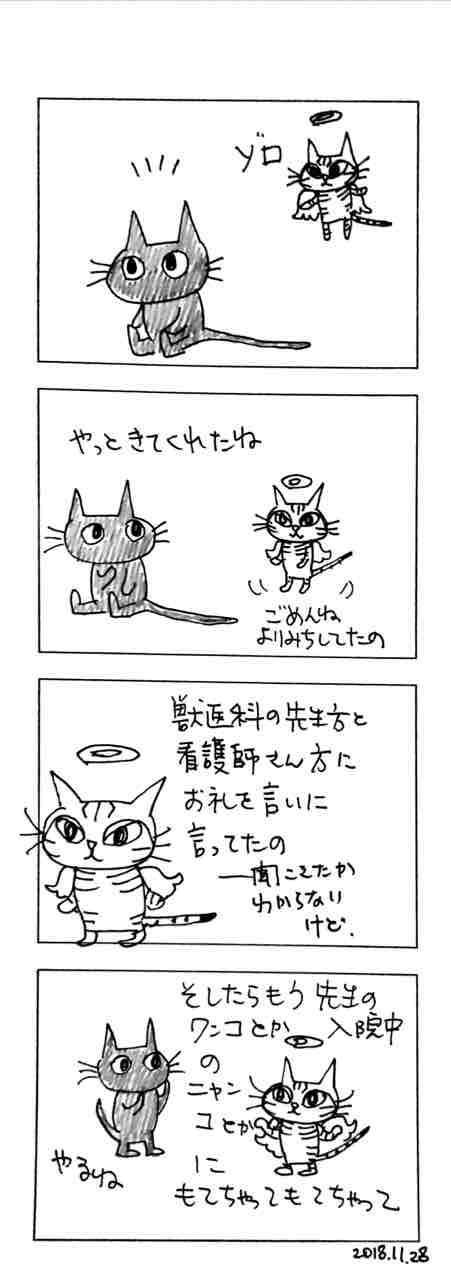 ダル天使、モテる : 新 ぞろだるえにっき (Journal Zorro et d'Artagnan)