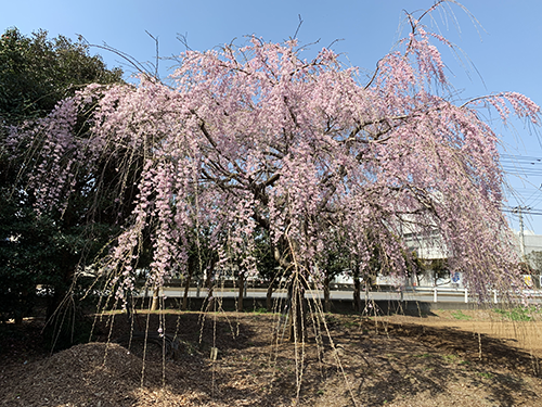 イメージ 12