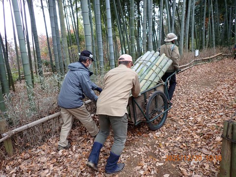 05.竹炭用の竹の運搬