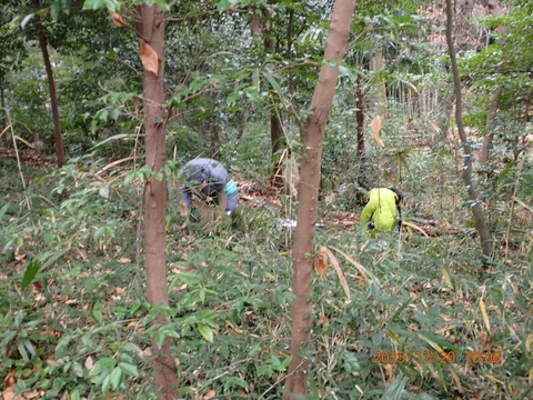 03.下草刈り 09-T