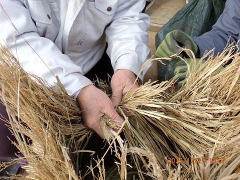 03,缶より上に出た藁を淵に沿って編んで行く