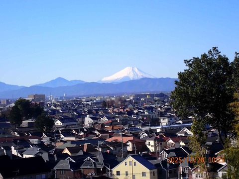 02.展望広場からの冠雪富士