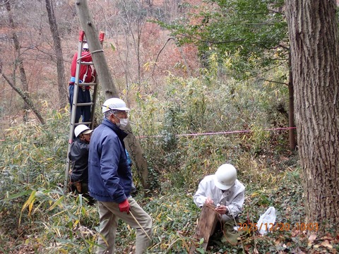 02.3日目の巣箱調査