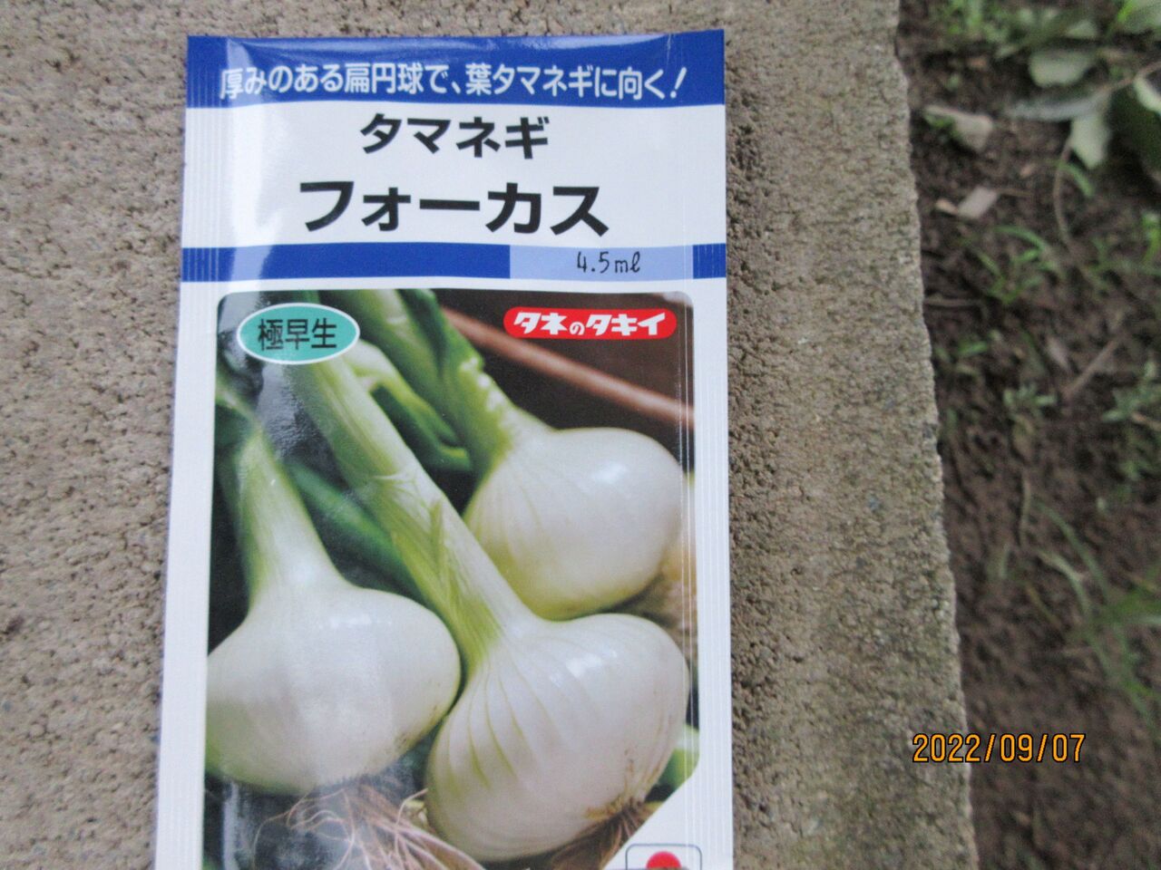 玉ねぎの種まき 嶽山便り