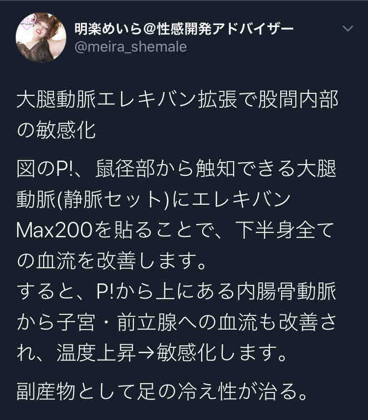 ピップエレキバンmaxとチンコ 30代からのチントレ ピップエレキバンmaxとチンコ 30代からのチントレ