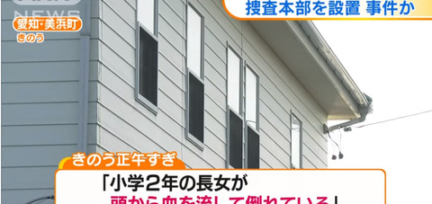 愛知県美浜町 7歳 事件 (2)