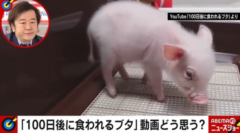 100日後に食われる豚丸焼き (4)