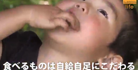 徳島 廣川家族の自給自足 (8)