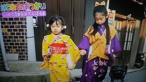 はじめてのおつかい 死亡事故 (1)